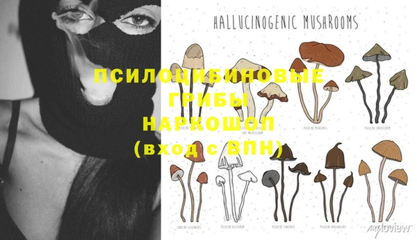 прущий лед Алексин