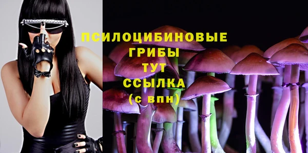 прущий лед Алексин